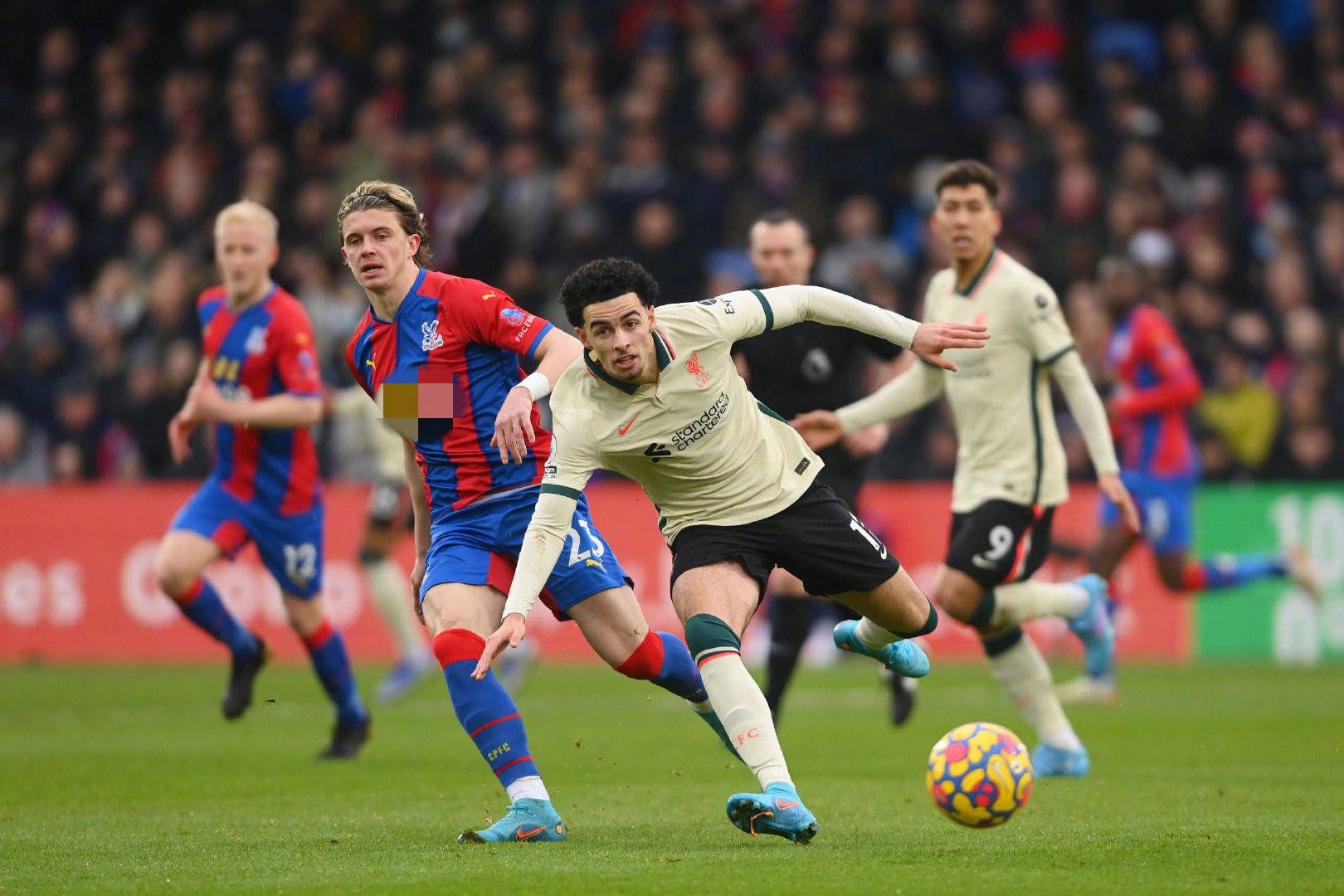 仅仅取得 仅仅取得